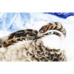 冯韬《瑞雪兆丰年》江西省工艺美术师青花瓷瓶 - 图片 2