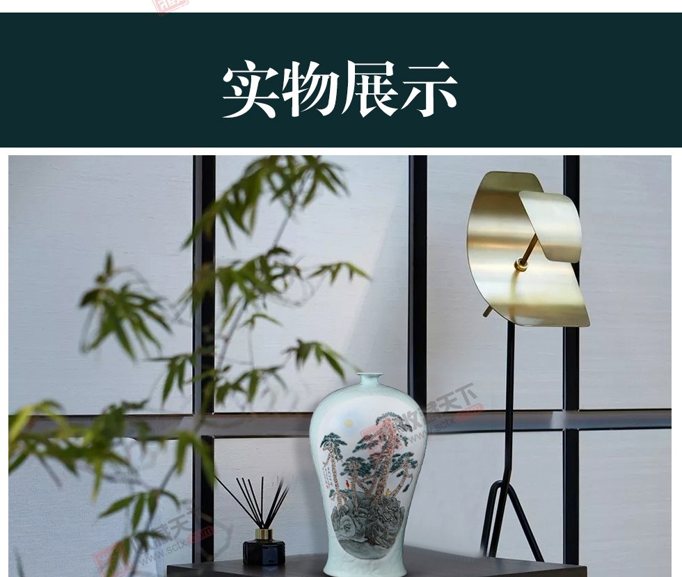 《大美中华》影青雕刻双面开窗山水纹梅瓶