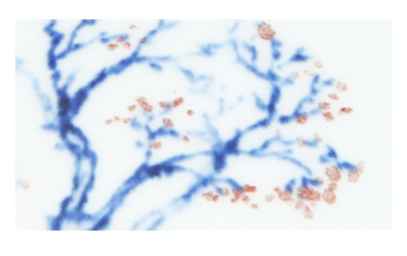 喻安《相知》江西省高级工艺美术师青花釉里红瓷瓶