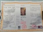 《金雀华裳》+《国韵红妆》 - 图片 3